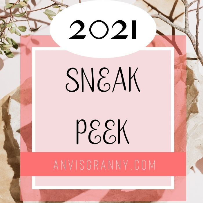 2021 sneak peek, 2020 Highlights and 2021 Sneak Peek